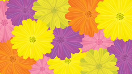 Fototapeta na wymiar Floral background, decorative colorful daisies, celebration concept, vector illustration, flat design. 
