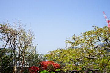 日本庭園 枯山水 - Japan Zen garden over blue sky background