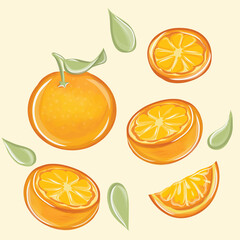 Orange vector set. Orange whole and slices of oranges. Organic fruit. Cartoon style. Vector illustration for any design.