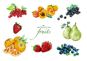 Set frisches Obst. Aquarell Food Illlustration. Watercolor fresh fruits. Isoliert auf weißem Hintergrund. Beeren, Orange, Aprikose, Birnen. 