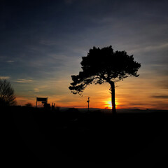 sun setting behind a single isolated tree