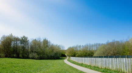 Fototapeta premium Green grass field and pathway with Sunlight,Landscape Peaceful nature with wild trees forest for family activity,picnic,running,walking and cycling,Enviroment Public park on sunny day Spring or Summer