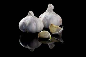 Two heads of garlic and couple of individual cloves on black isolated background with reflection. Close-up, copy space