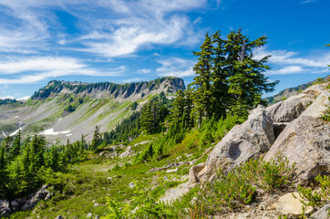 Beautiful Mountain Artist Ridge Trail Park. Mount Baker, Washington, USA.