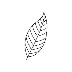 Leaf icon with hand drawn lines. Vector illustration