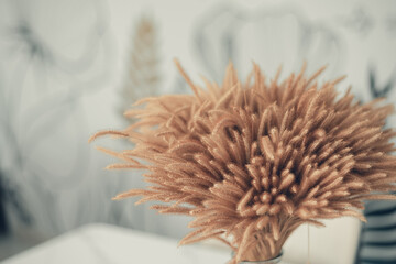 Beautiful creamy brown colour dried grass in flower vase in home, living, meeting room or hotel, The decoration is simply, giving a comfortable feeling and clean.