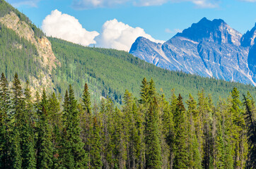 Rocky Mountains. Coastal Mountains. Mount Thompson in Alberta, Banff. Canada.