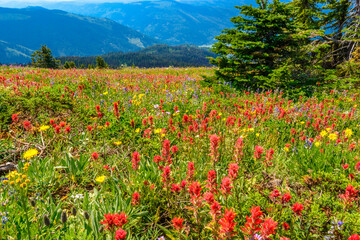 Beautiful landscape of valley in Alpine mountains, small trail, hike root, majestic picturesque view in sunny day