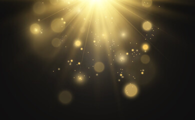 Obraz na płótnie Canvas Bright beautiful star.Vector illustration of a light effect on a transparent background. 