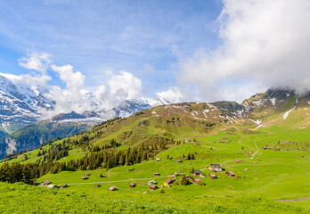 Fototapeta na wymiar View of beautiful landscape in the Alps with fresh green meadows and snow-capped mountain tops in the background on a sunny day with blue sky and clouds in springtime.