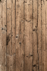 Natural wood texture