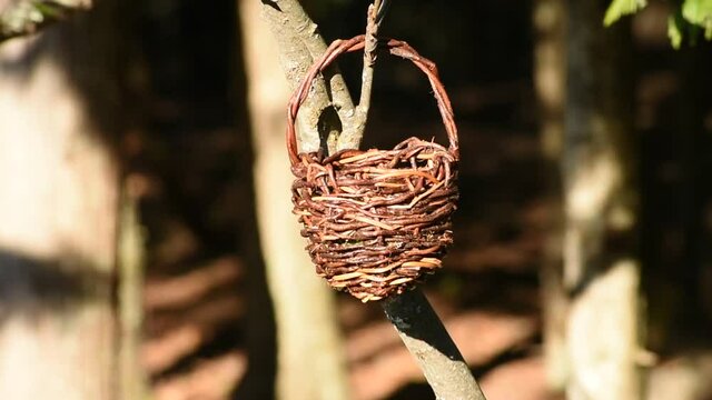 Red-breasted nuthatch birds taking birdseed from hanging basket