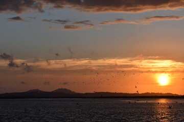 atardecer 