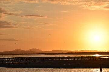 atardecer 