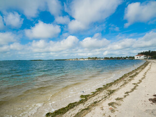 Palma Solo Bay near the Gulf of Mexico and St. Petersburg Florida