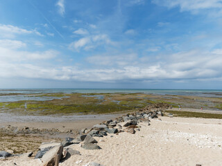 Île de Ré dans le Golfe de Gascogne. Dunes et plages le long de la côte sauvage le long de la...