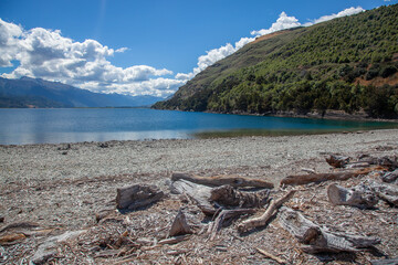 Driftwood on the shore of Lake Wanaka in New Zealand