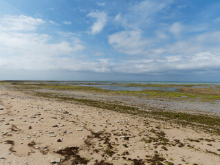 Île de Ré dans le Golfe de Gascogne. Côte sauvage et plages et dunes à marée basse le long du littoral Littoral Nord-Ouest
