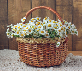 basket with garden daisies.