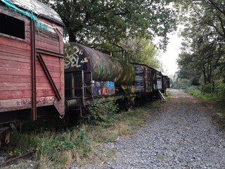 Fototapeta na wymiar Overgrown old train