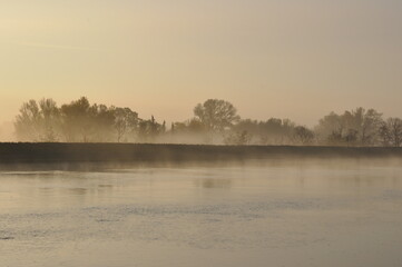 Berges du Rhône dans le brouillard