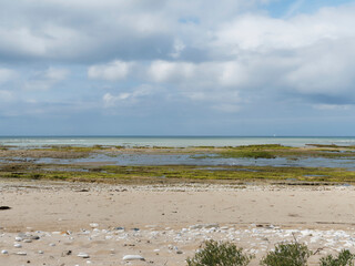 Fototapeta na wymiar Île de Ré dans le Golfe de Gascogne. Littoral sauvage Nord-Ouest à marée basse le long de la pointe rocheuse Saint-Clément-des-Baleines face à l'Atlantique
