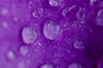 background with bubbles