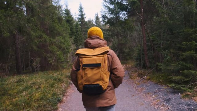 Backshot of a young traveller with yellow backpack walking in the forest. High quality 4k footage