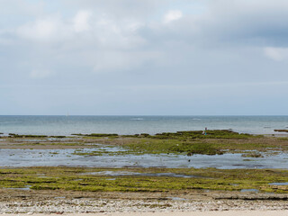 Île de Ré dans le Golfe de Gascogne. Pêche aux moules à marée basse le long des plages et marais et de la pointe rocheuse Saint-Clément-des-Baleines