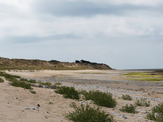 Île de Ré dans le Golfe de Gascogne. Paysage littoral Nord-Ouest, espaces naturels, plages et dunes à marée basse face à l'Océan Atlantique
