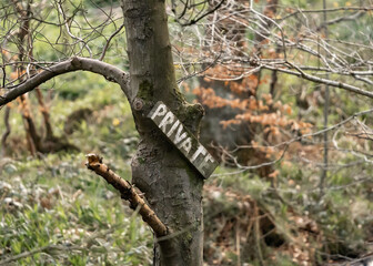 Wooden private property sign nailed to tree in creepy eerie forest woodland.  No people outdoors closeup on branches.