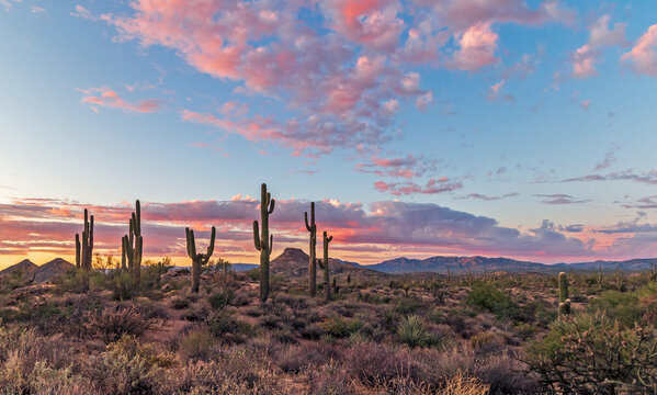 Colorful Arizona Desert Sunset Landscape Near Phoenix