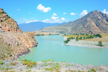 Landscape of Altai Mountains in the Valley of River.