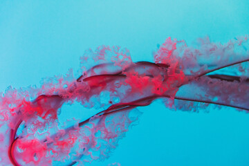 jellyfish tentacle in water abstract red blue