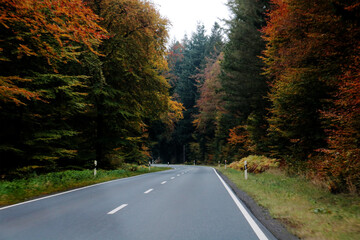 Obraz premium road in fall