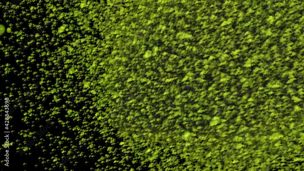 Poster abstract motion background of shining green snow particles. shimmering glitter particles with bokeh.