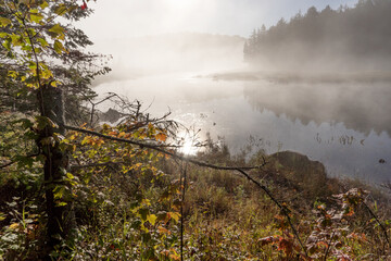 Fototapeta na wymiar Sun is reflected in the water on foggy morning. Mystical landscape
