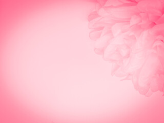 Beautiful abstract color red flowers on white background, light pink flower frame, pink leaves texture, gray background, valentines day, love theme, pink texture, white gradient