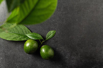 two ripe avocados with leaves on a gray stone background, top view, empty space for text