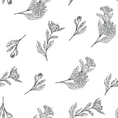 Calendula hand drawn flowers, leaves, branches on the seamless pattern, floral background