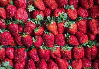 Close up portrait of the strawberries in the market display