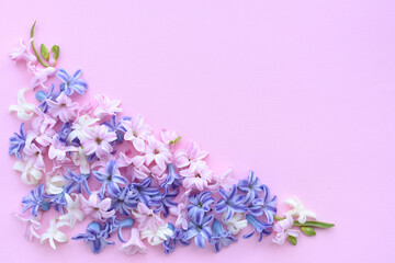 Flowers composition. Frame made of hyacinth flowers on pink background. Flat lay, top view, copy space