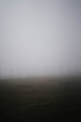 artistic photography of some fences in the fog