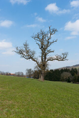 Obraz premium Mostviertel