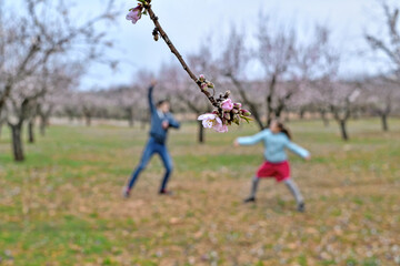 Fototapeta premium Alcublas, Valencia, Spain: 03.06.2021; The children's game in almond garden