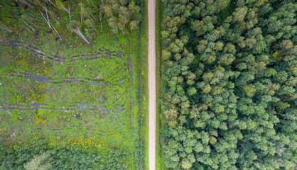 Conceptual aerial top-down view on the scene, half with natural forest stand and another half destructed with clear-cut and damaged soil by heavy machinery