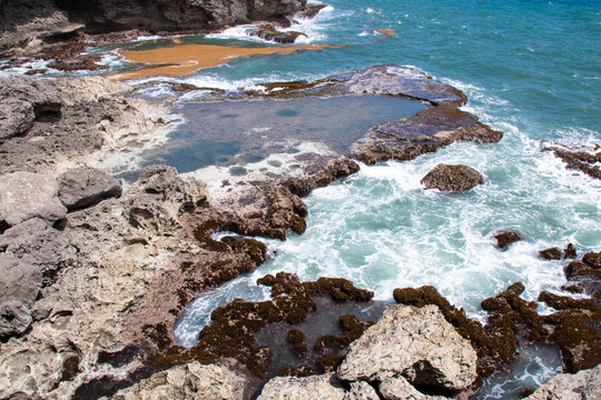 Image of an orange patch of sargassum seaweed floating on vibrant turquoise atlantic ocean on the north coast of Barbados. Tide pools, rock pools filled with splashing waves and sea foam, mossy. 
