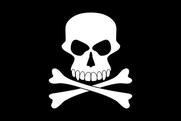 Vector skull on black