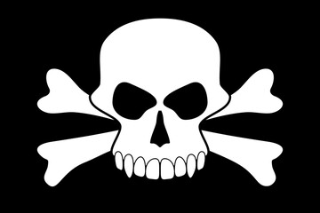 Vector skull on black