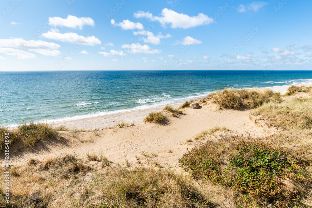 Wall mural sand dunes near the rotes kliff (red cliff) on sylt, schleswig-holstein, germany